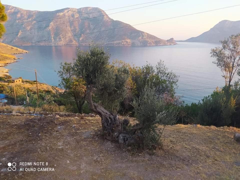 The Traditional House-Skalia,Kalymnos Bagian luar foto