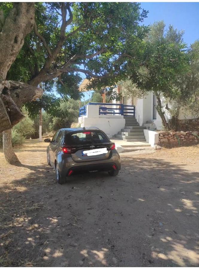 The Traditional House-Skalia,Kalymnos Bagian luar foto